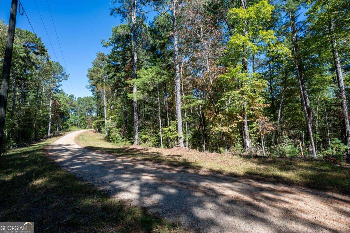 Ellijay, GA 30540,0 Jumper DR