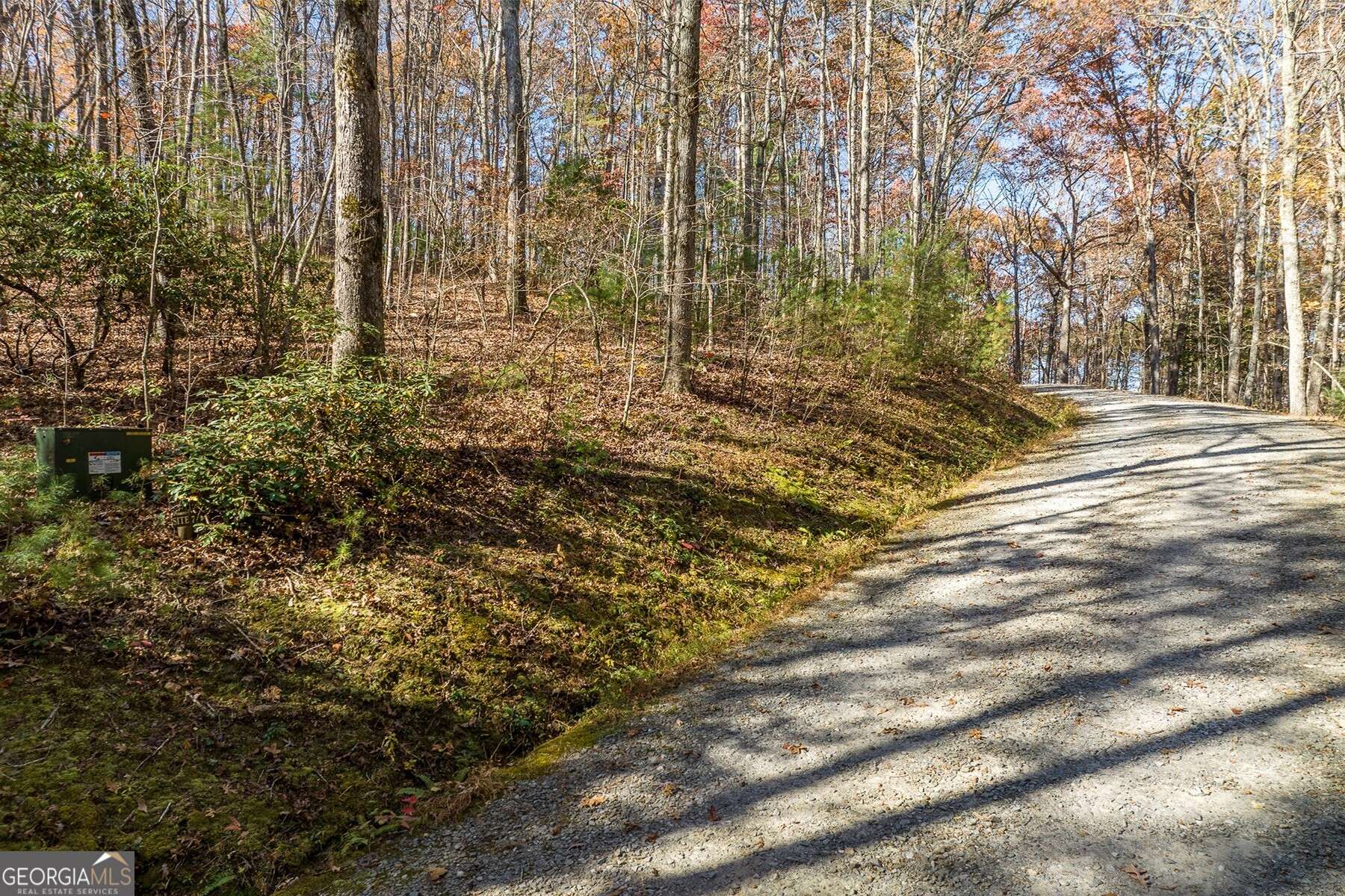 Ellijay, GA 30536,LOT 7 Joseph Anderson