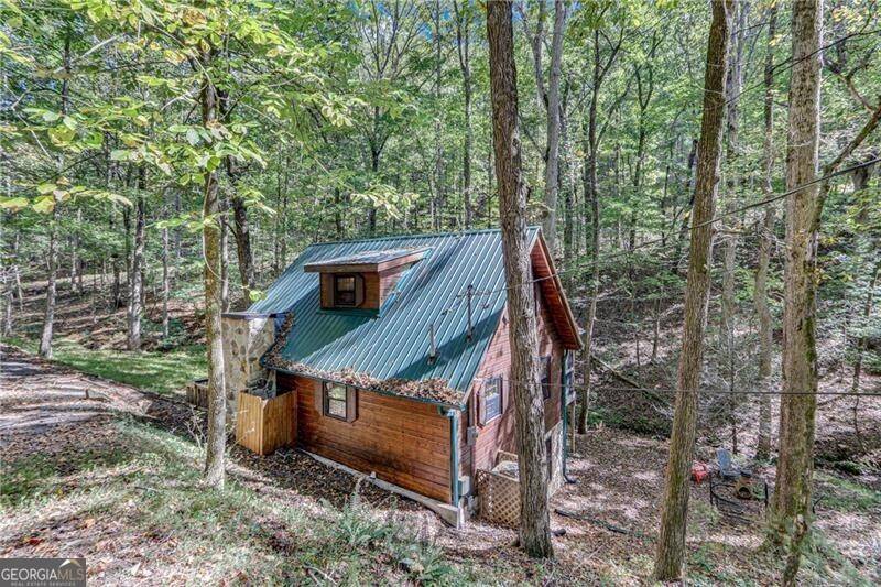 Ellijay, GA 30536,507 Goldmine