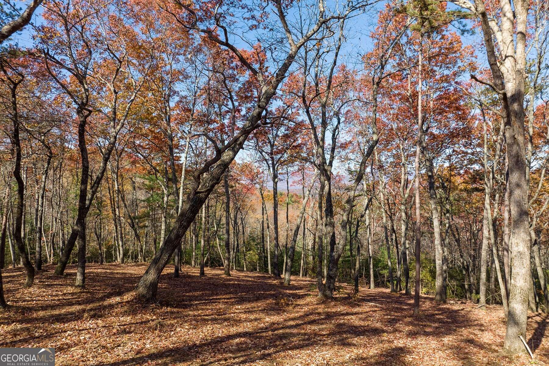 Ellijay, GA 30536,LOT 40 Preserve