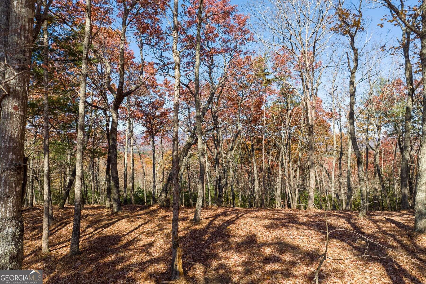 Ellijay, GA 30536,LOT 40 Preserve