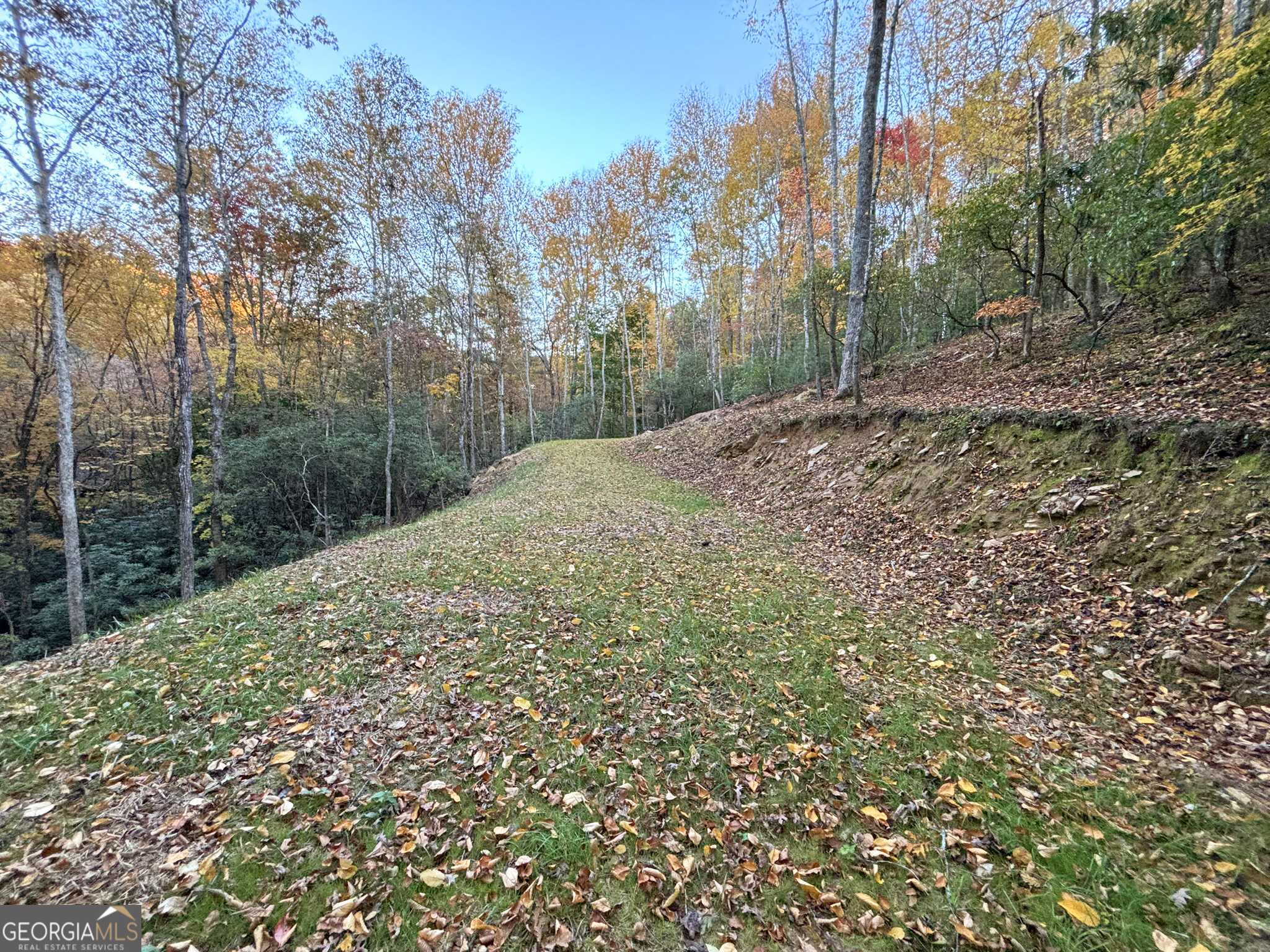 Mineral Bluff, GA 30559,1530 Hills Creek Rd