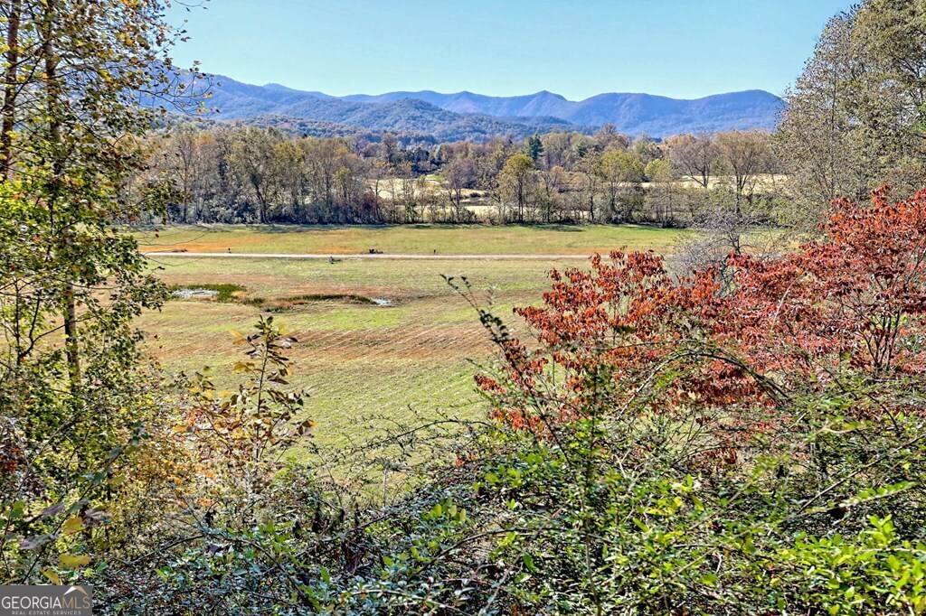 Hiawassee, GA 30546,5266 Pine Crest RD