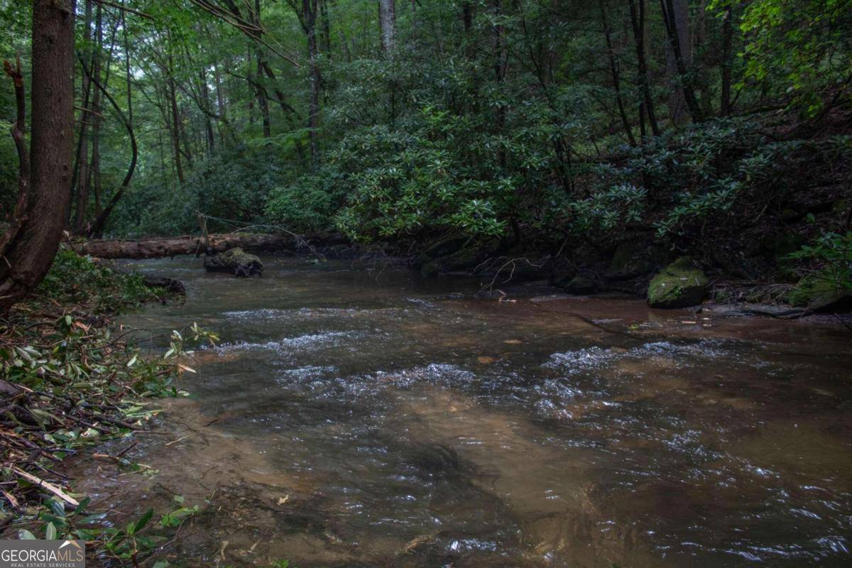 Ellijay, GA 30536,LOT 4 Big Creek