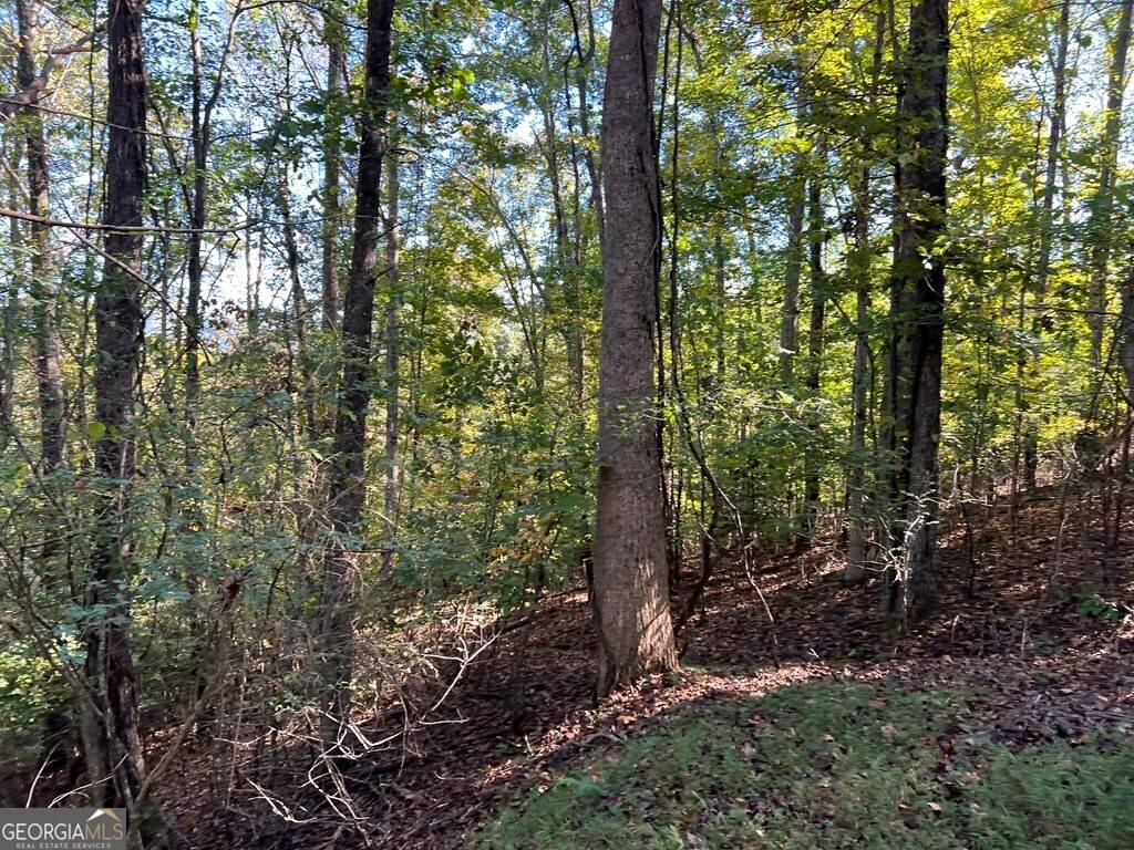 Hayesville, NC 28904,LOT 23 Tahlequah Ridge
