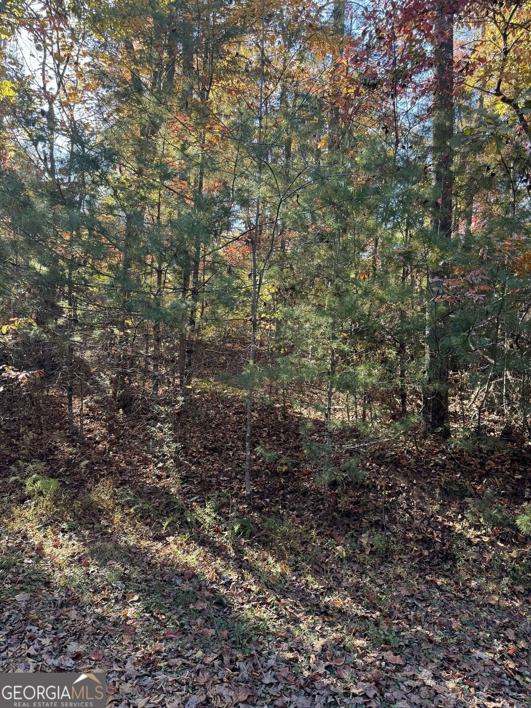 Blue Ridge, GA 30513,11 Mill Creek Acres