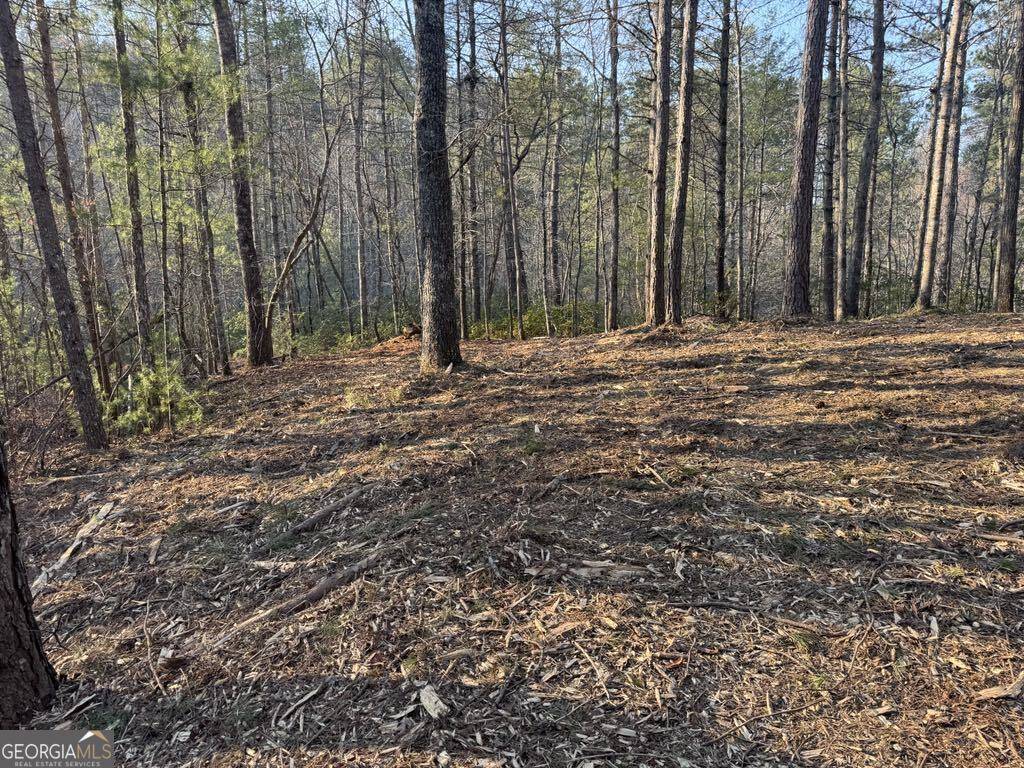 Ranger, GA 30734,1767 Longbranch DR