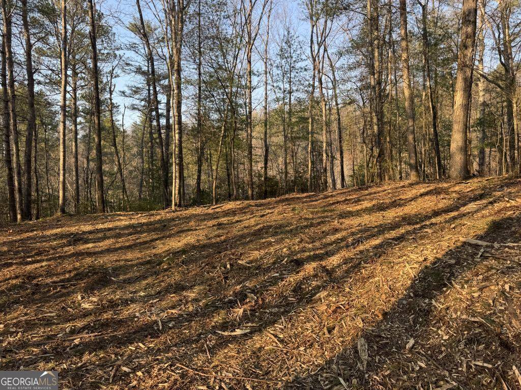 Ranger, GA 30734,1767 Longbranch DR