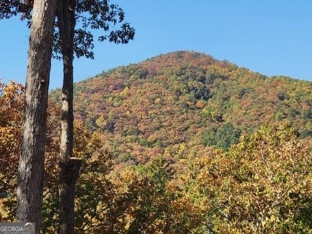 Blairsville, GA 30512,LOT 74 Mine Cart TRL
