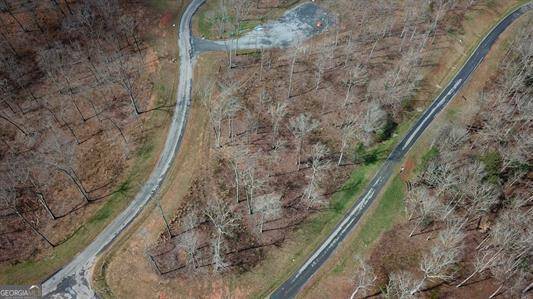 Ellijay, GA 30540,194 Lecroy DR #194
