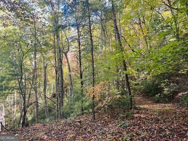 Blairsville, GA 30512,5.47AC Cindy Cove Lots 13-15