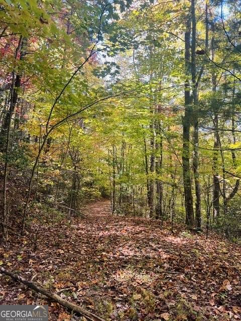 Blairsville, GA 30512,5.47AC Cindy Cove Lots 13-15