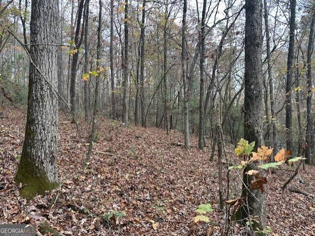 Ellijay, GA 30536,LOT 11 Clear Creek Preserve