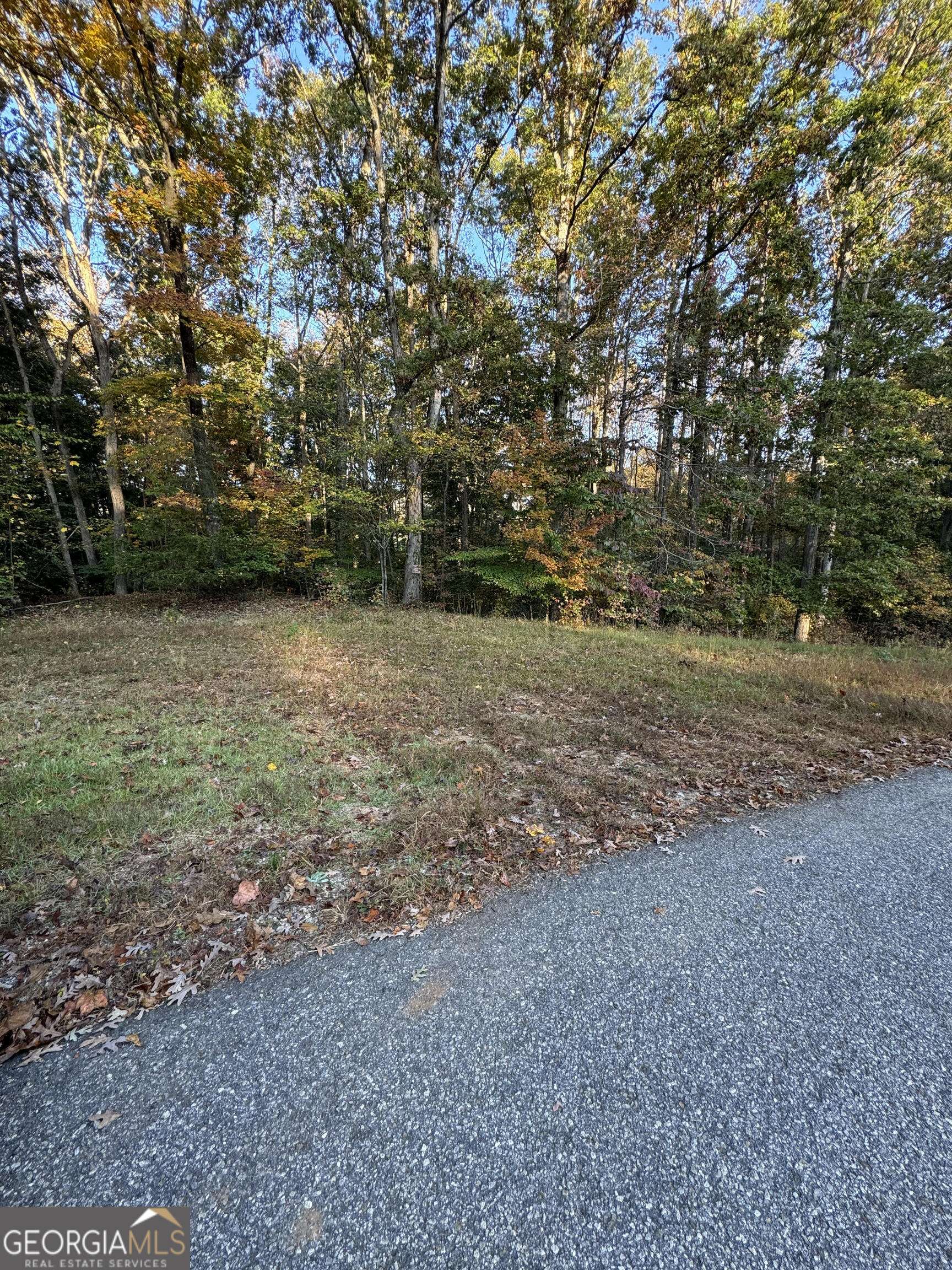 Maysville, GA 30558,LOT 102 Del Ray Drive