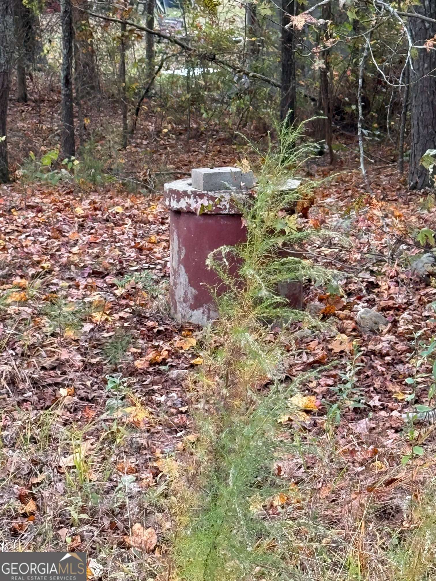 Temple, GA 30179,150 Rabbit Hunt