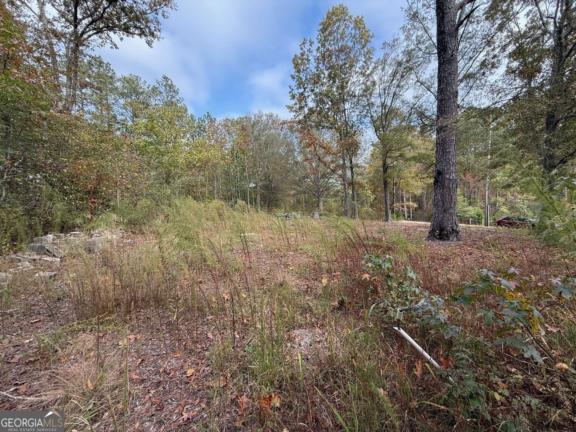 Temple, GA 30179,150 Rabbit Hunt