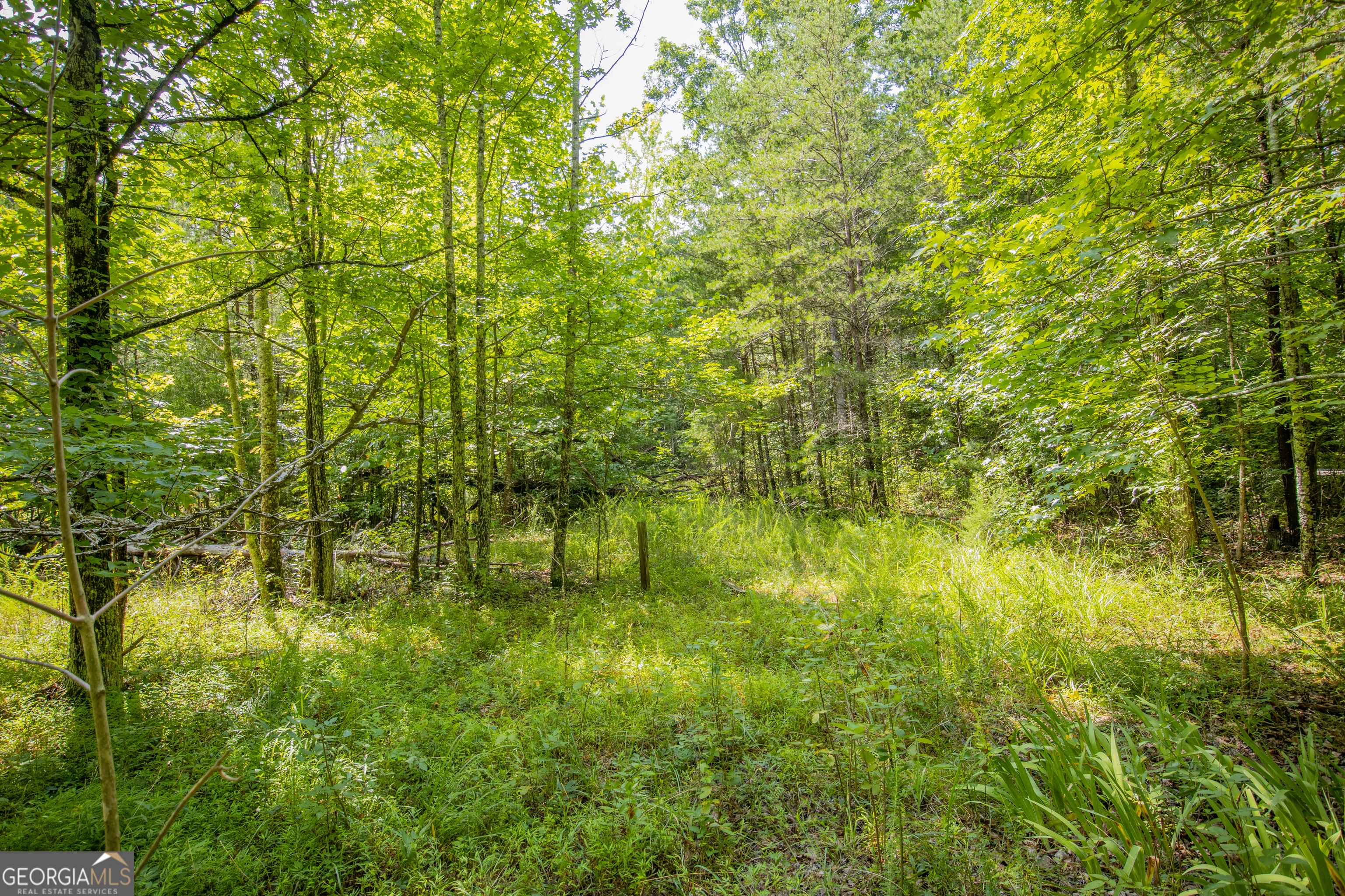 Rising Fawn, GA 30738,0 Durham RD