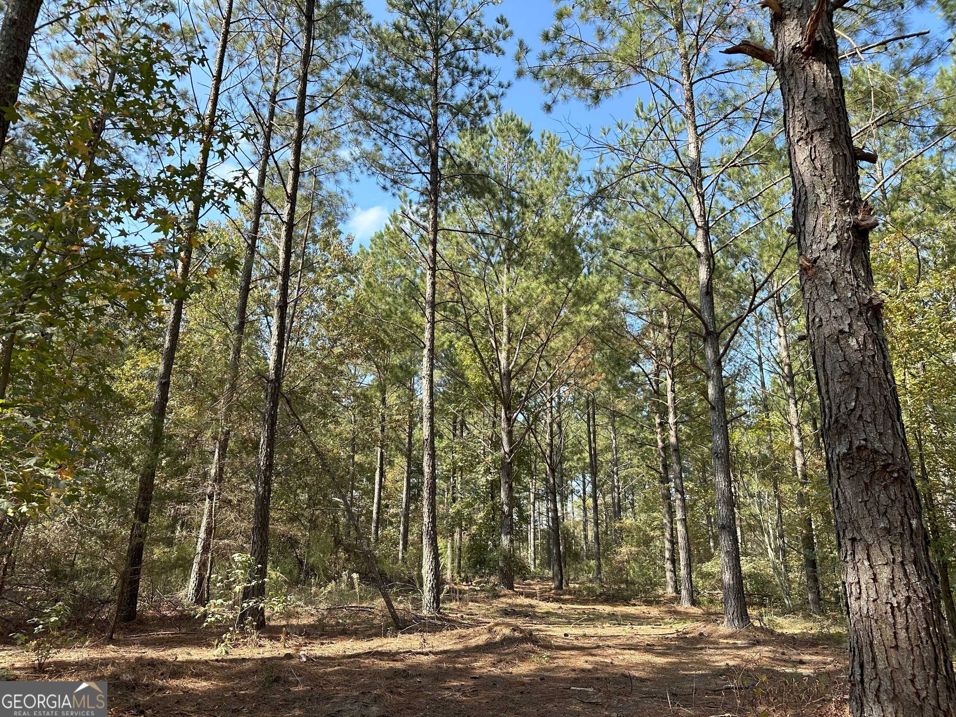 Carlton, GA 30627,50 Hearthstone Drive