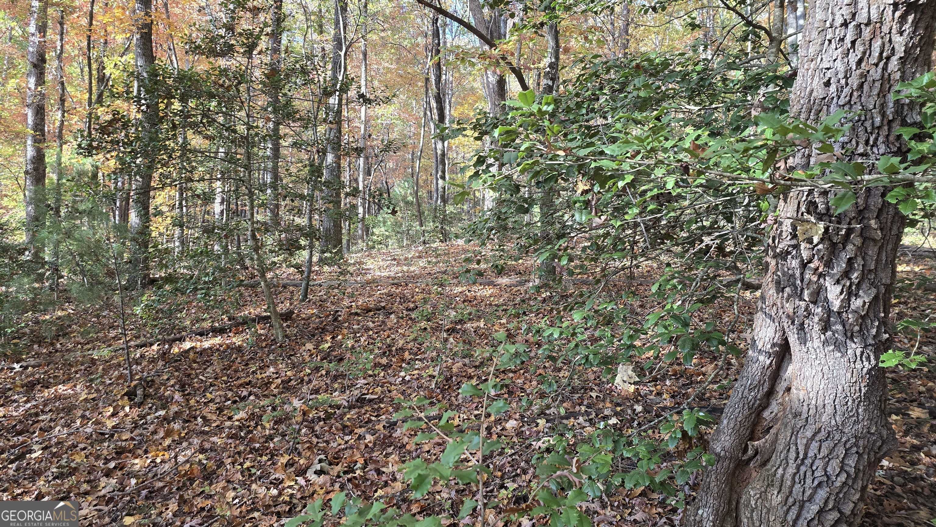 Clarkesville, GA 30523,0 Highway 197 N