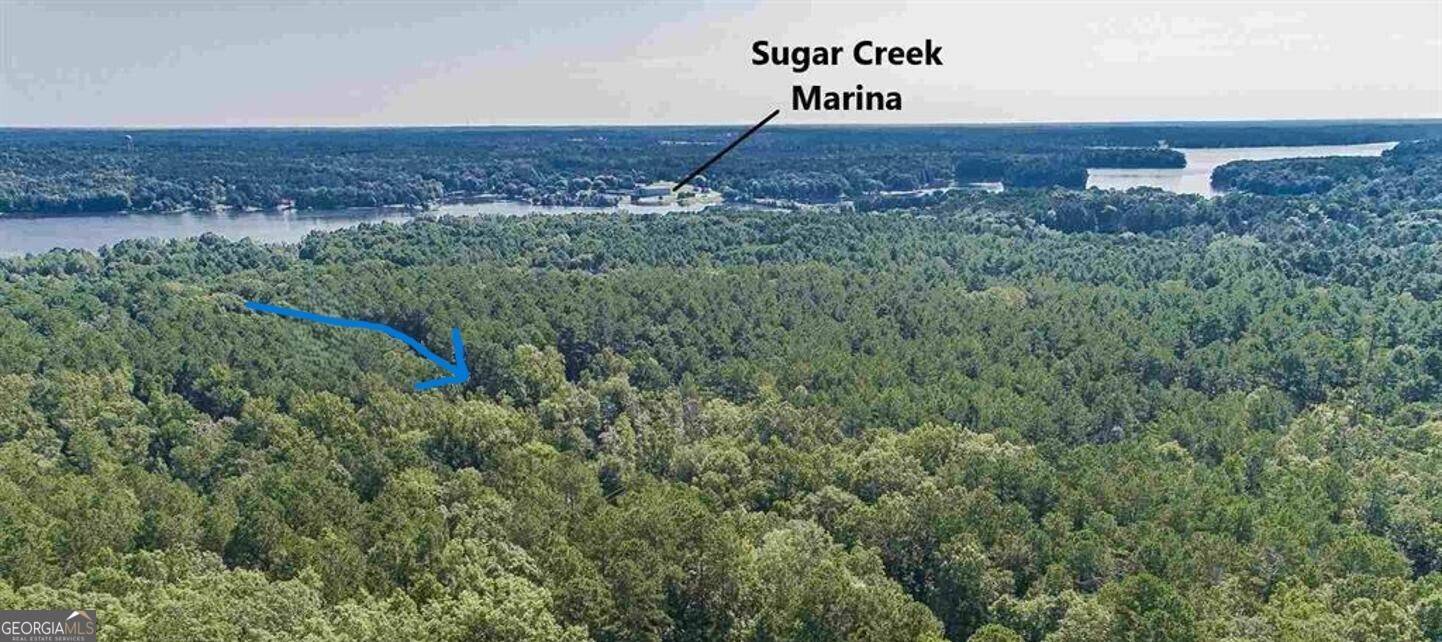 Buckhead, GA 30625,113 Sugar Woods