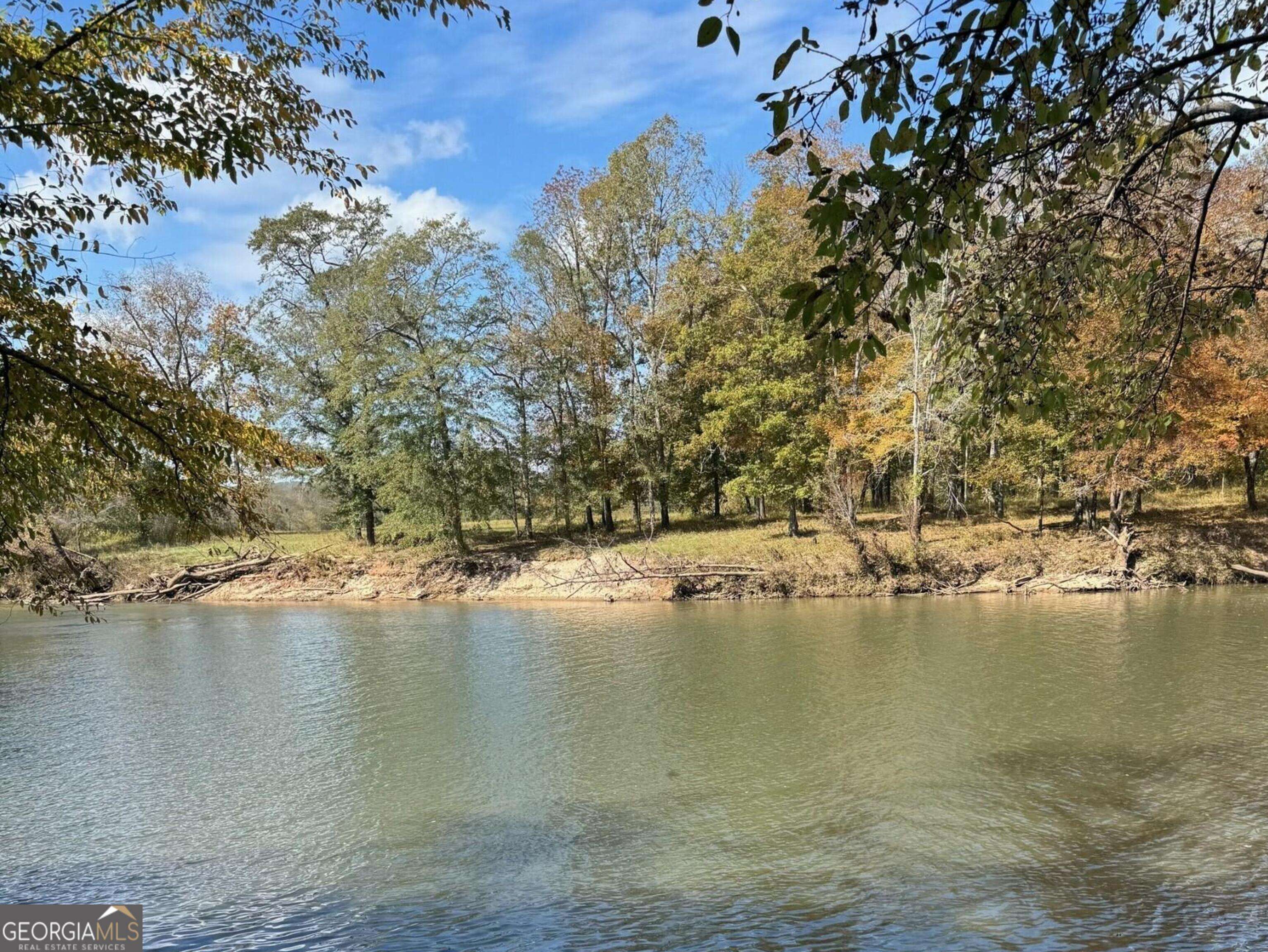 Molena, GA 30258,9.09 ACRE Flint River RD