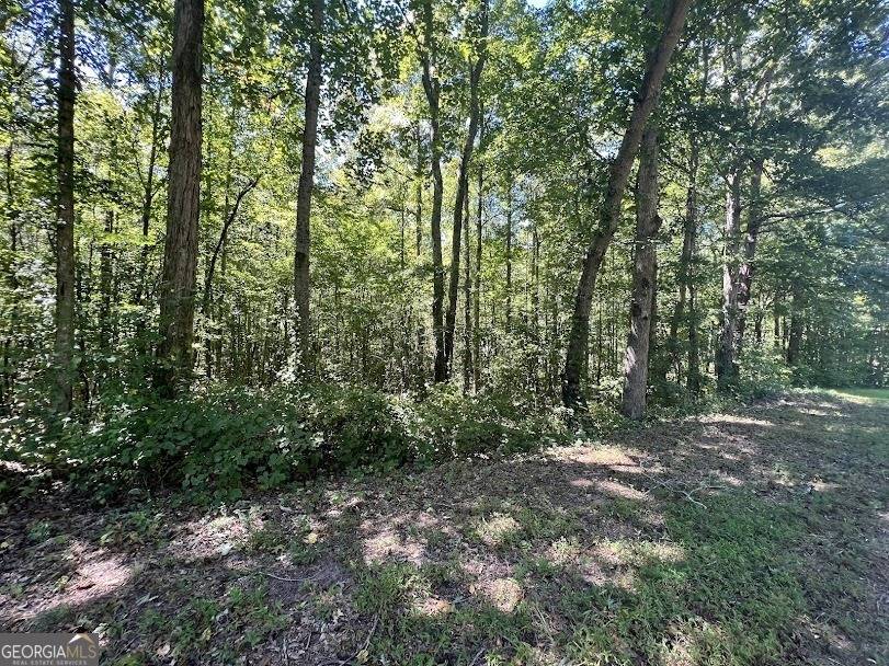Temple, GA 30179,0 Old Draketown TRL