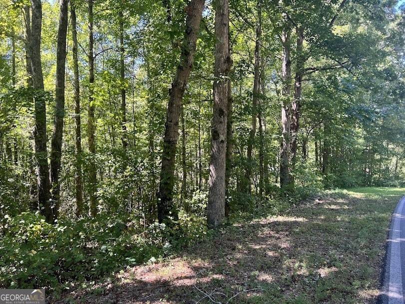 Temple, GA 30179,0 Old Draketown TRL