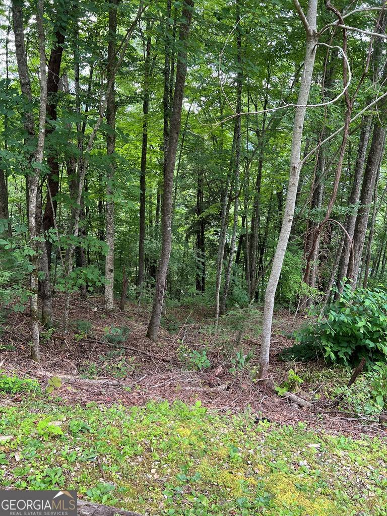 Topton, NC 28781,LOT 3 SEC 3 Rhododendron Drive