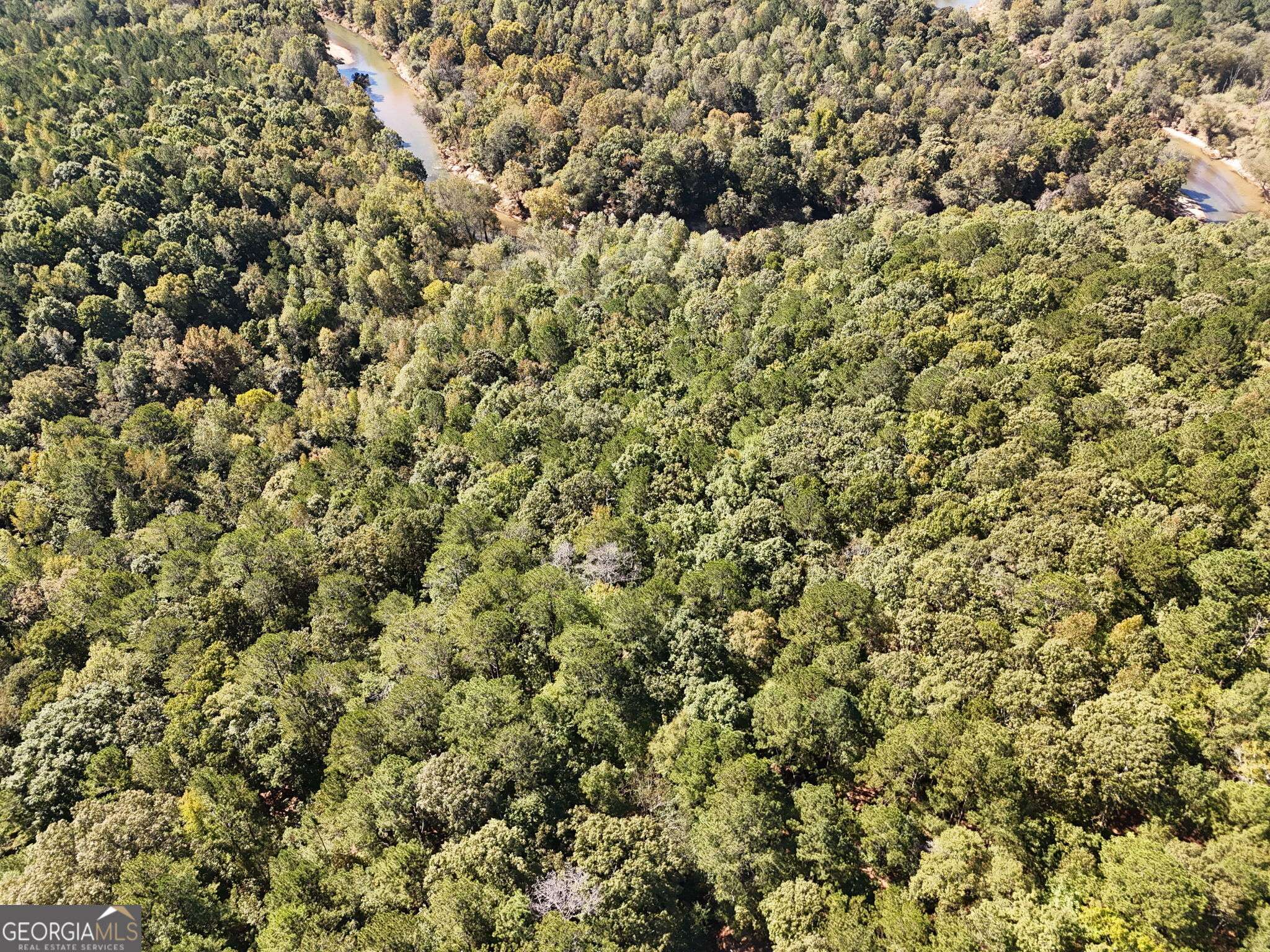 Covington, GA 30016,0 Butler Bridge Road (127 acres)