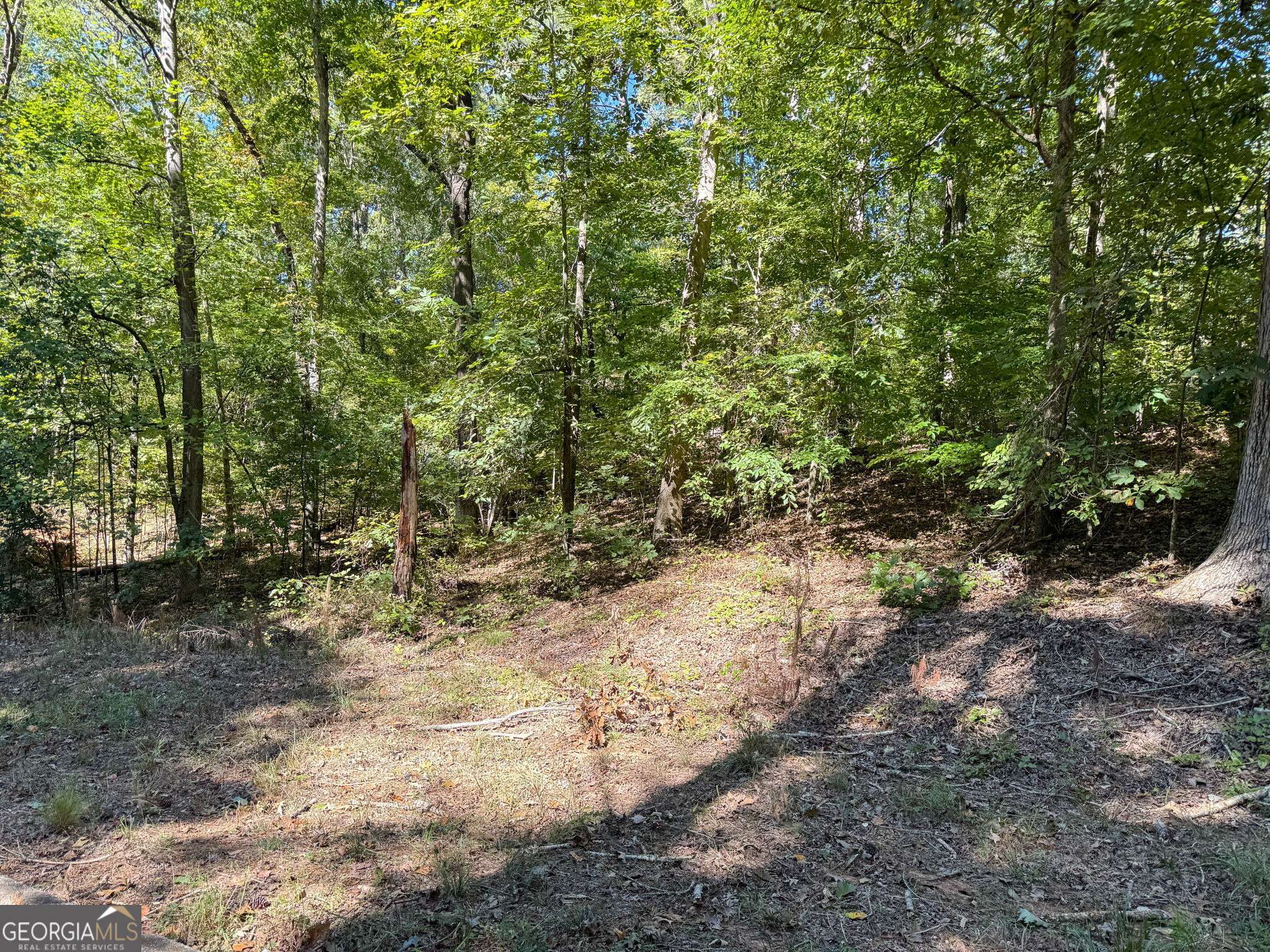 Covington, GA 30016,0 (Barrington Subd.) 45 lots total