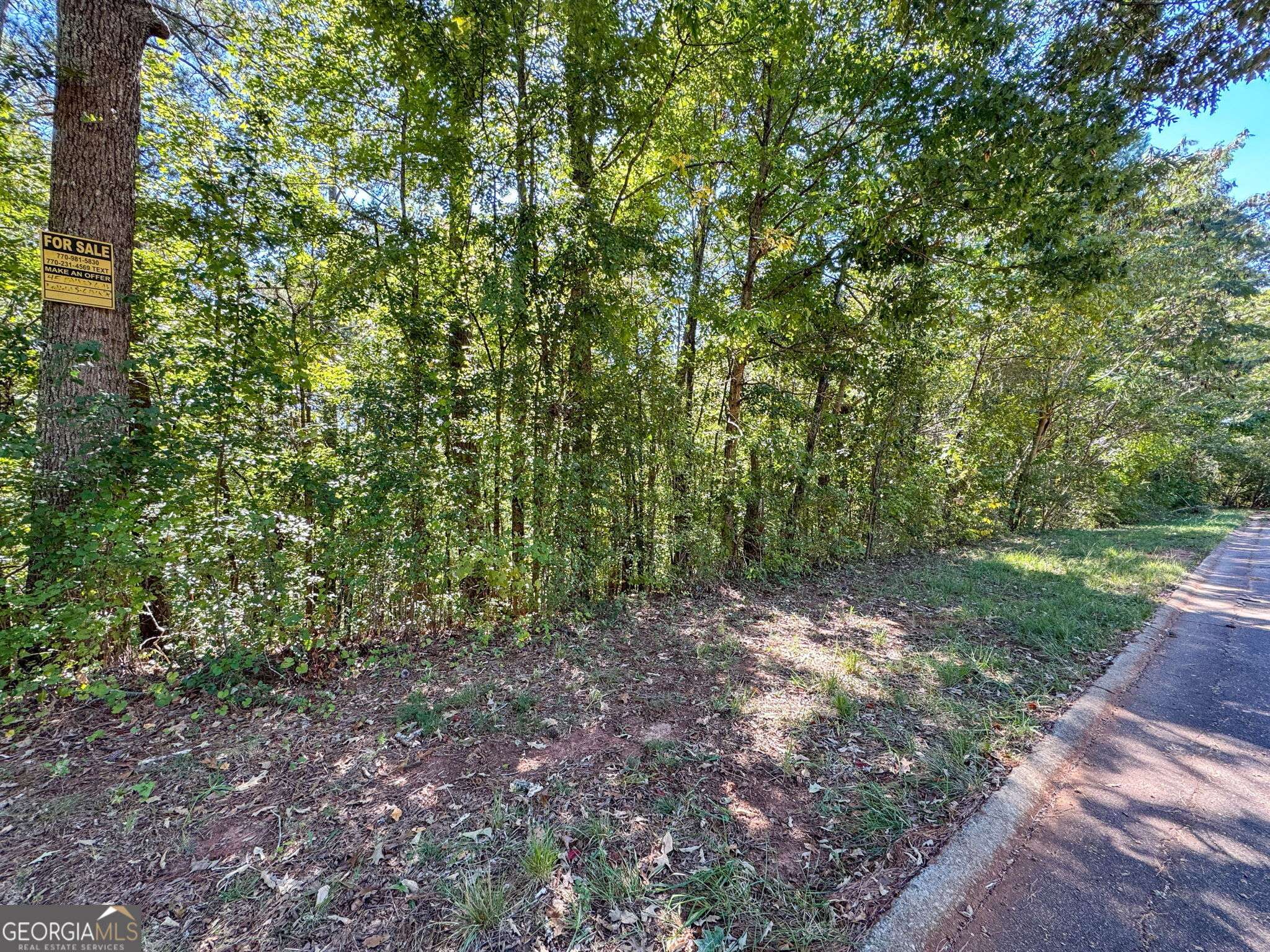 Covington, GA 30016,0 (Barrington Subd.) 45 lots total