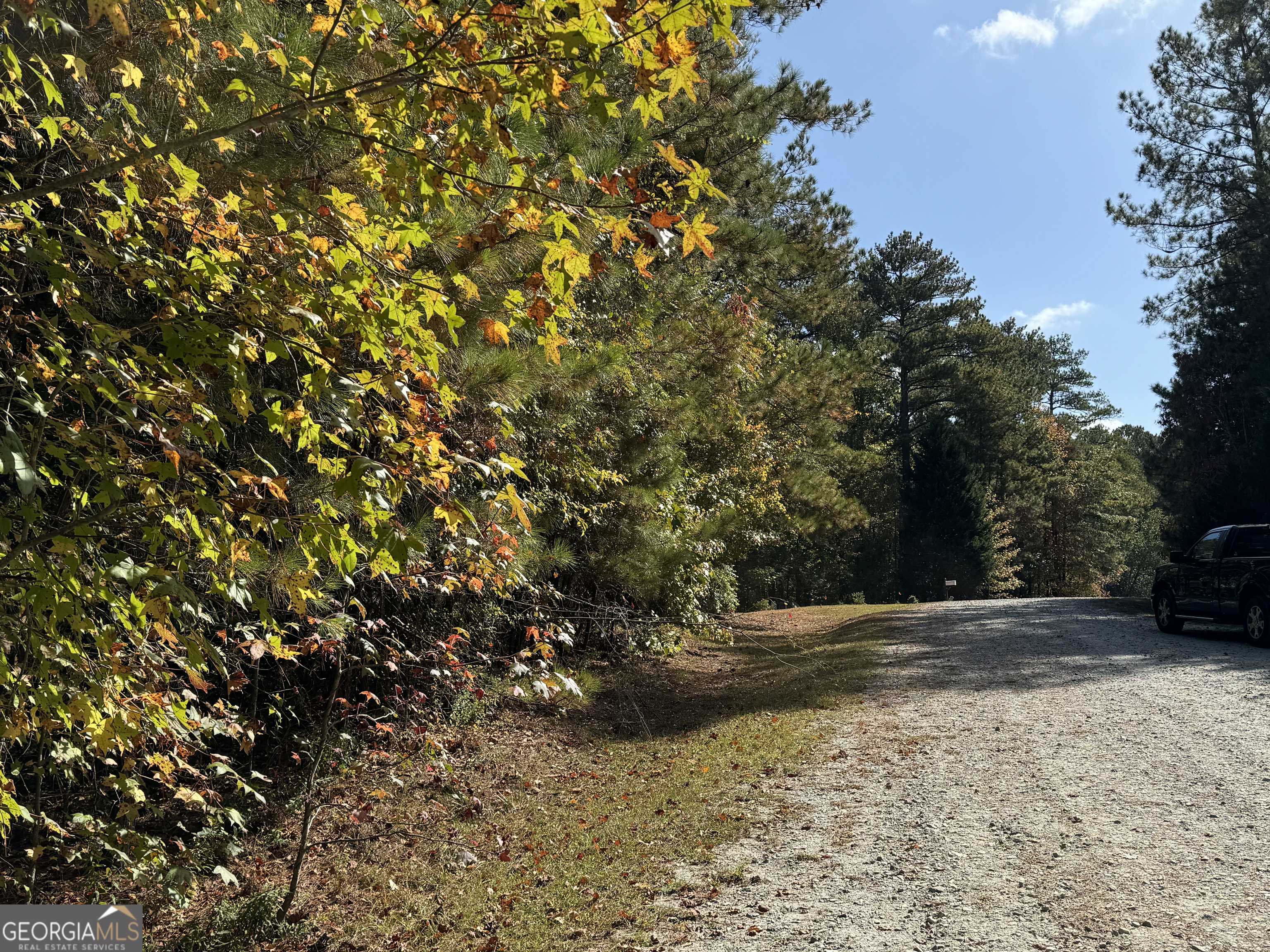 Monticello, GA 31064,0 Prairie Chicken