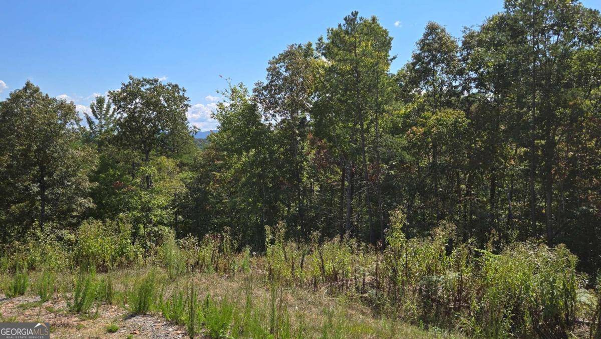 Mineral Bluff, GA 30559,41 Mountain Laurel