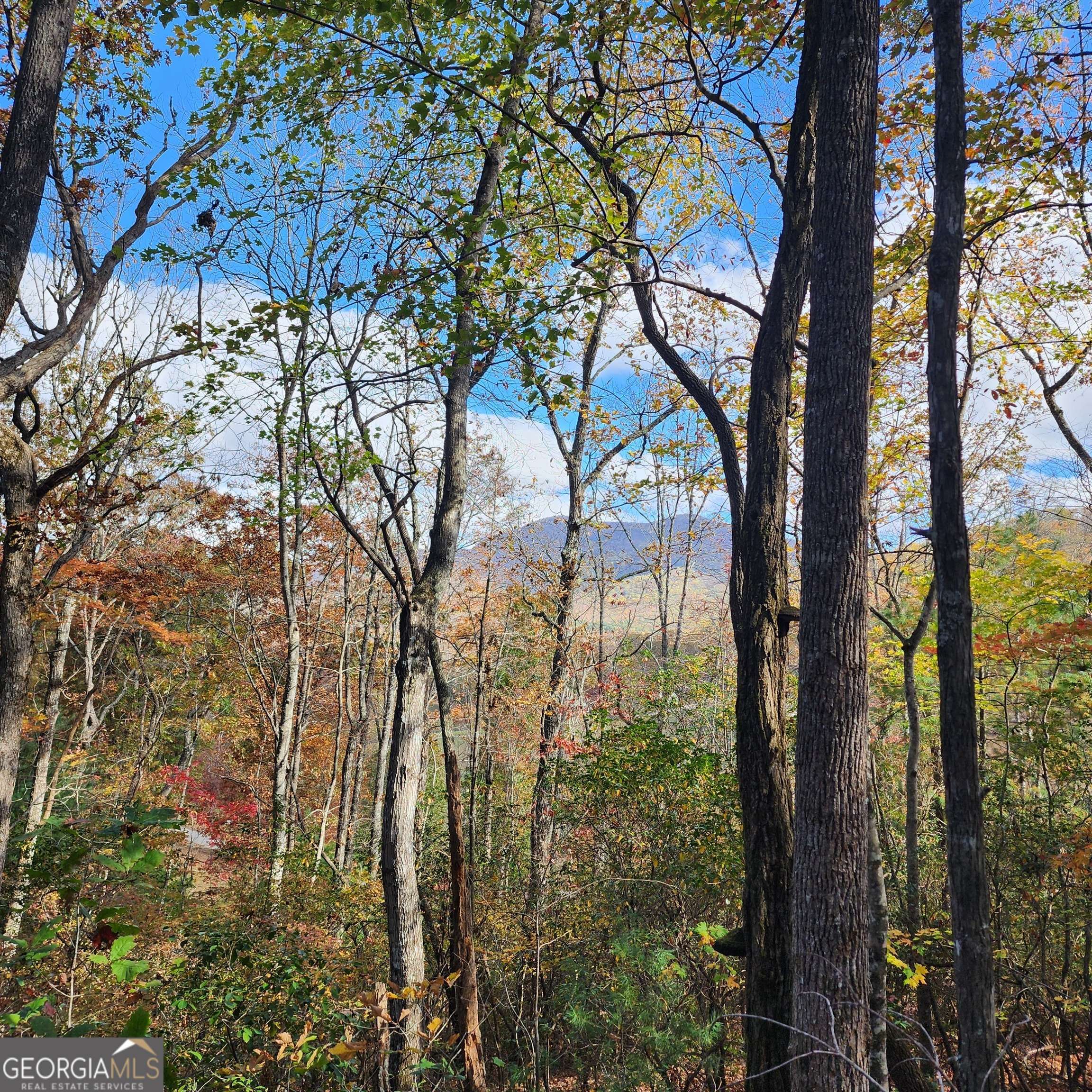 Hiawassee, GA 30546,LOT 10 Enchantment Way