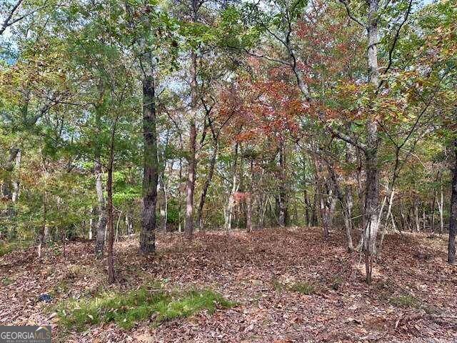 Murrayville, GA 30564,0 Mincey Acres Drive