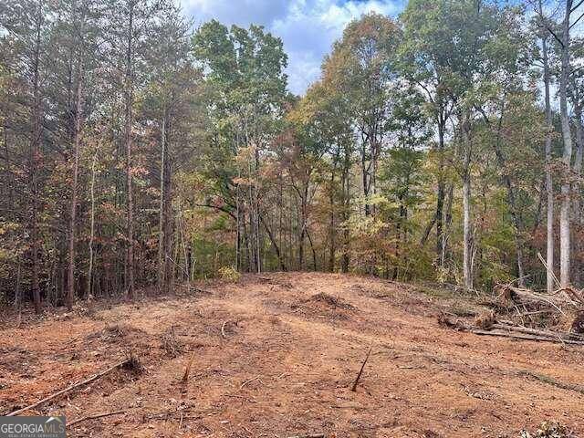 Murrayville, GA 30564,0 Mincey Acres Drive