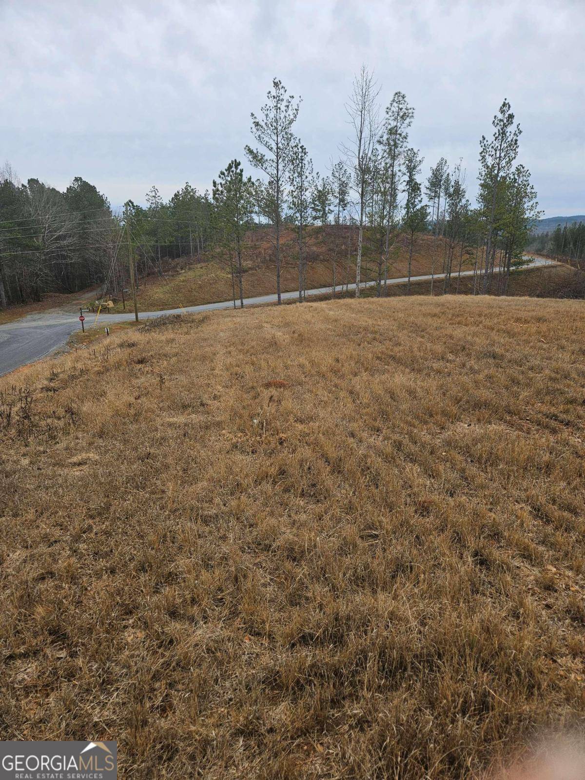 Talking Rock, GA 30175,0 Blalock Mountain Rd - Lot 152