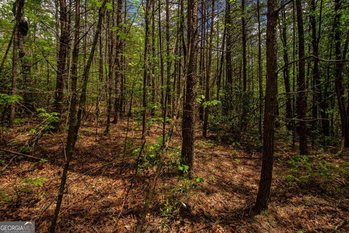 Dawsonville, GA 30534,0 Antioch Valley Road Trct 1