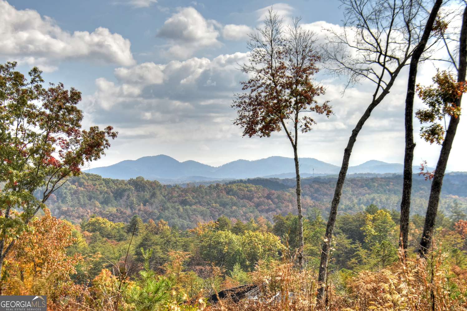 Mineral Bluff, GA 30559,LOT 22 Mountain Laurel