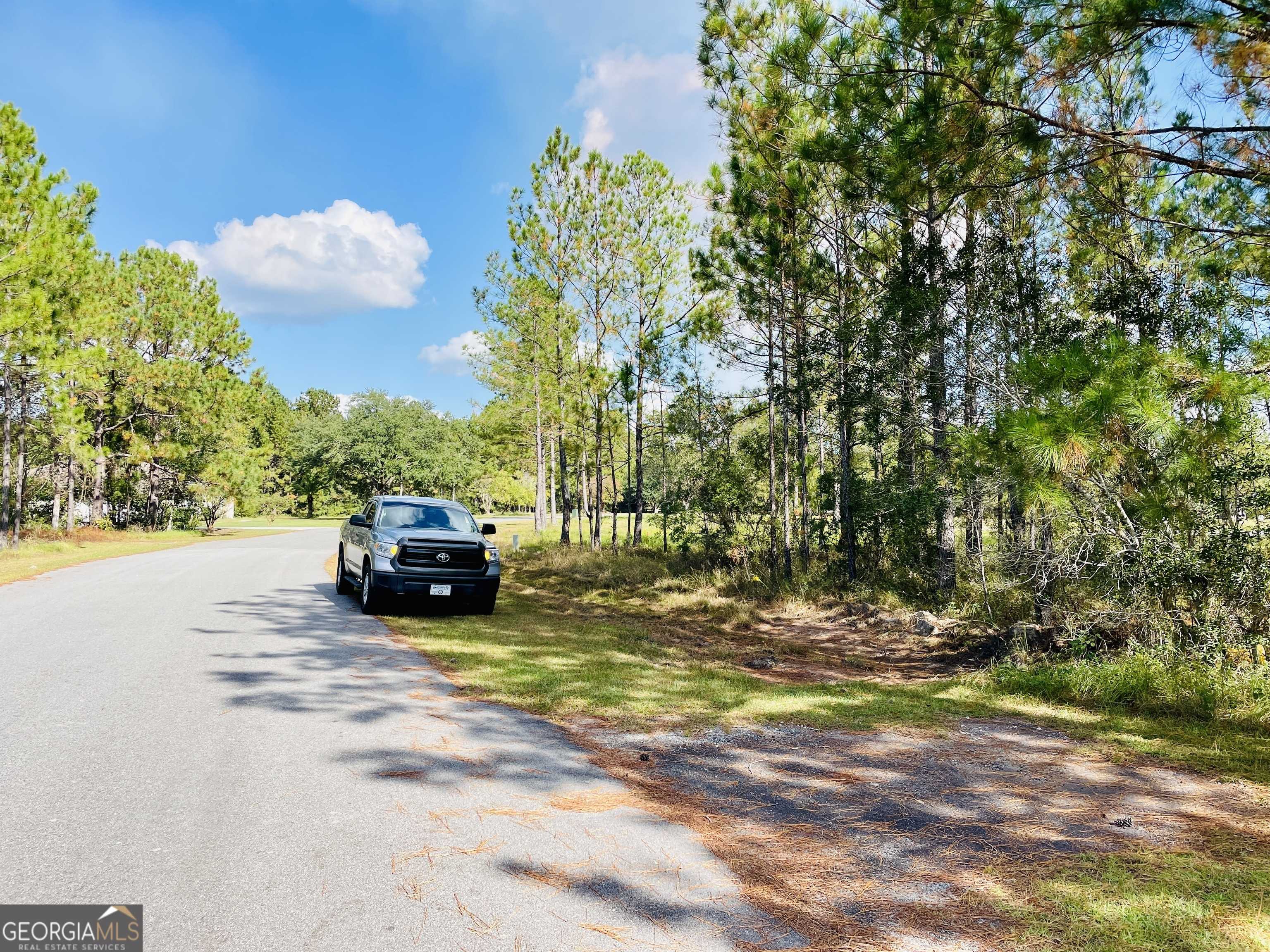 Folkston, GA 31537,LOT 12 Buchanan Landing DR