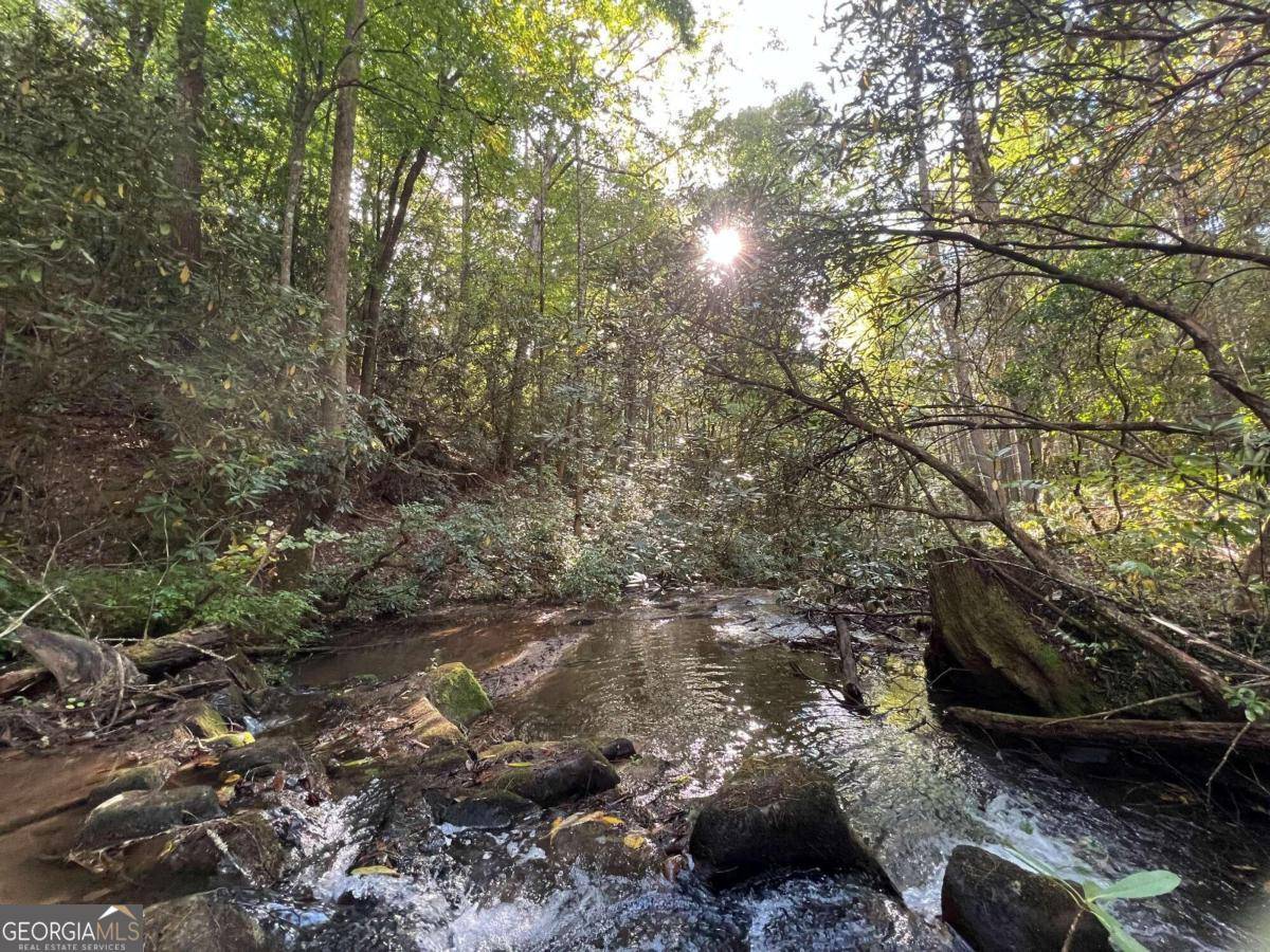 Ellijay, GA 30540,0 Zion Hill RD