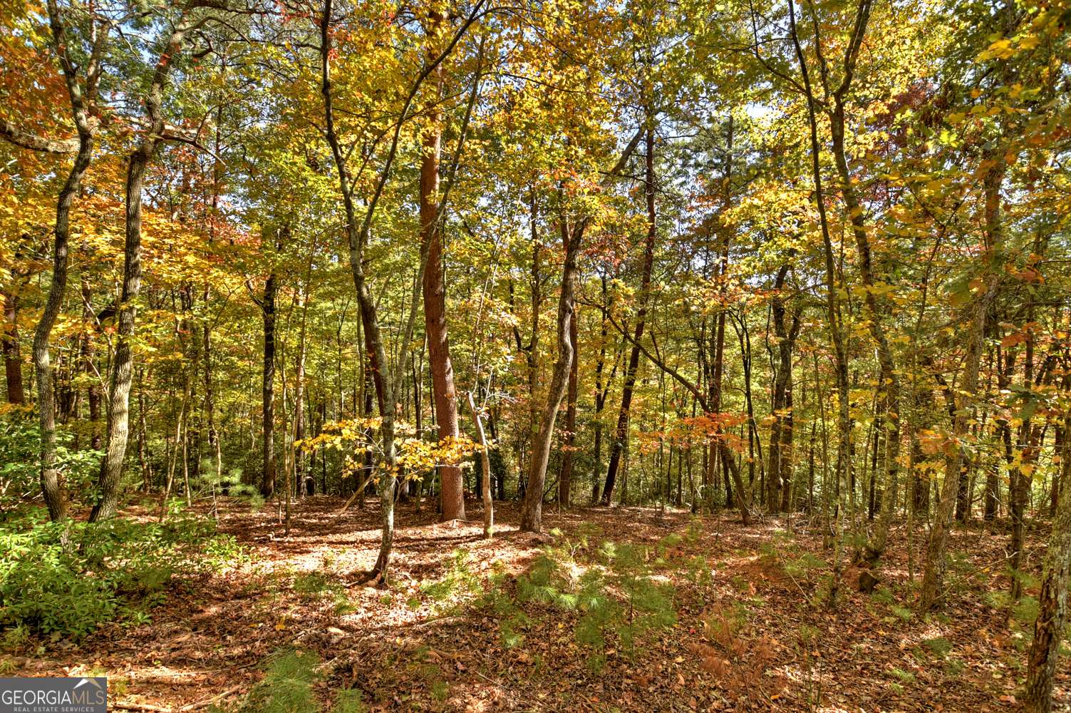 Ellijay, GA 30540,LOT 53 N Whitepath CIR