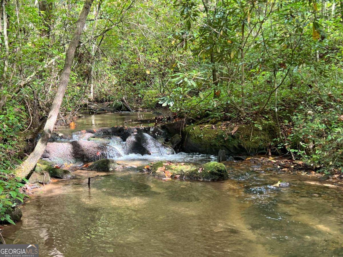 Ellijay, GA 30540,0 Whitecliff DR