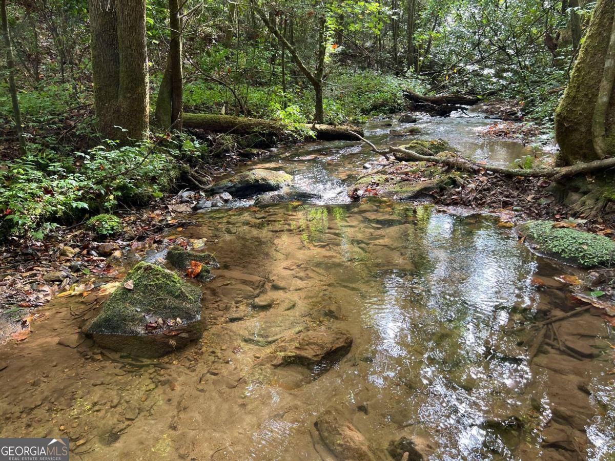 Ellijay, GA 30540,0 Whitecliff DR