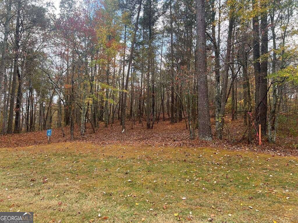 Ellijay, GA 30540,0 Doll Mountain