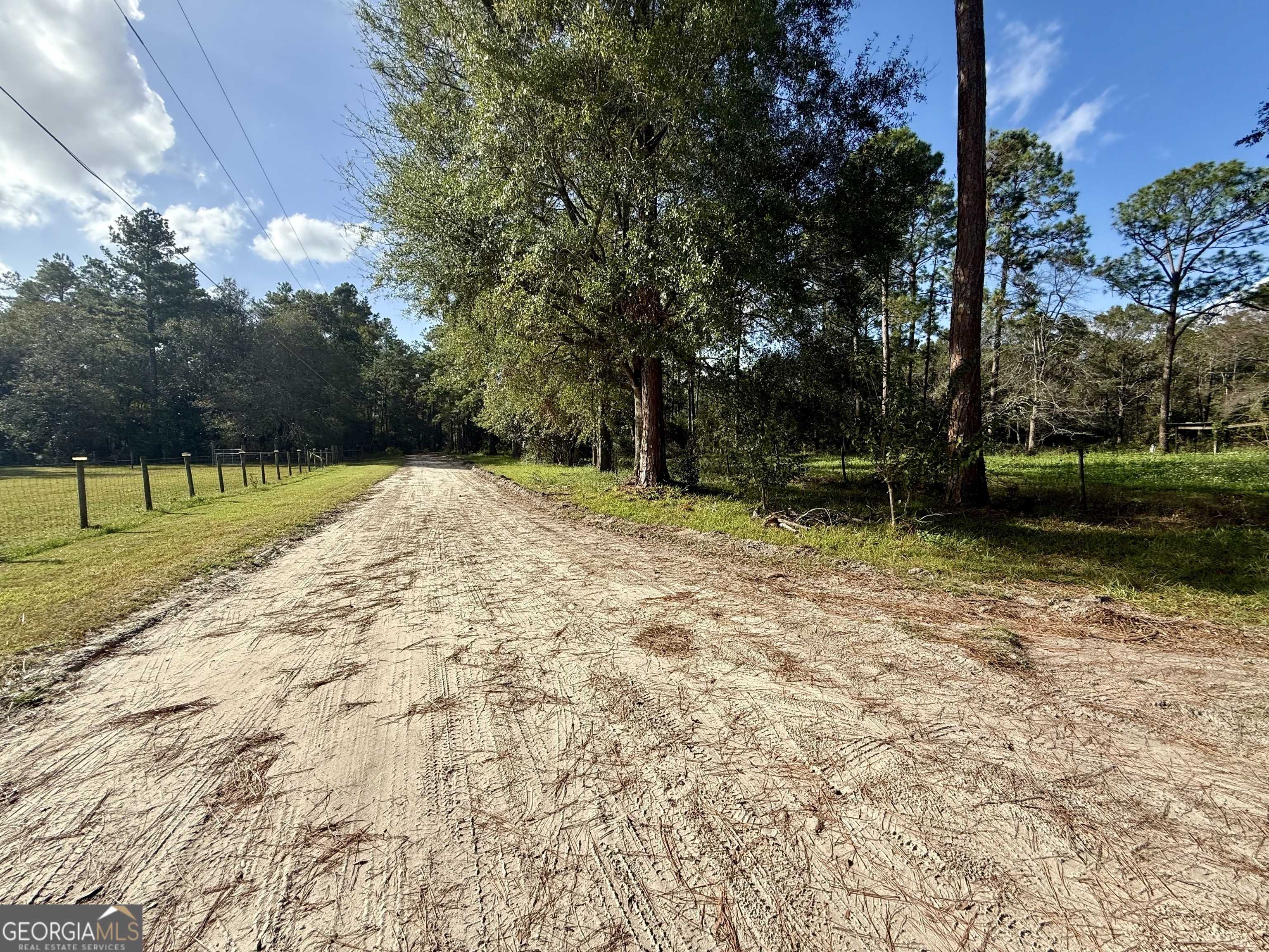 Waycross, GA 31503,595 Sawdust