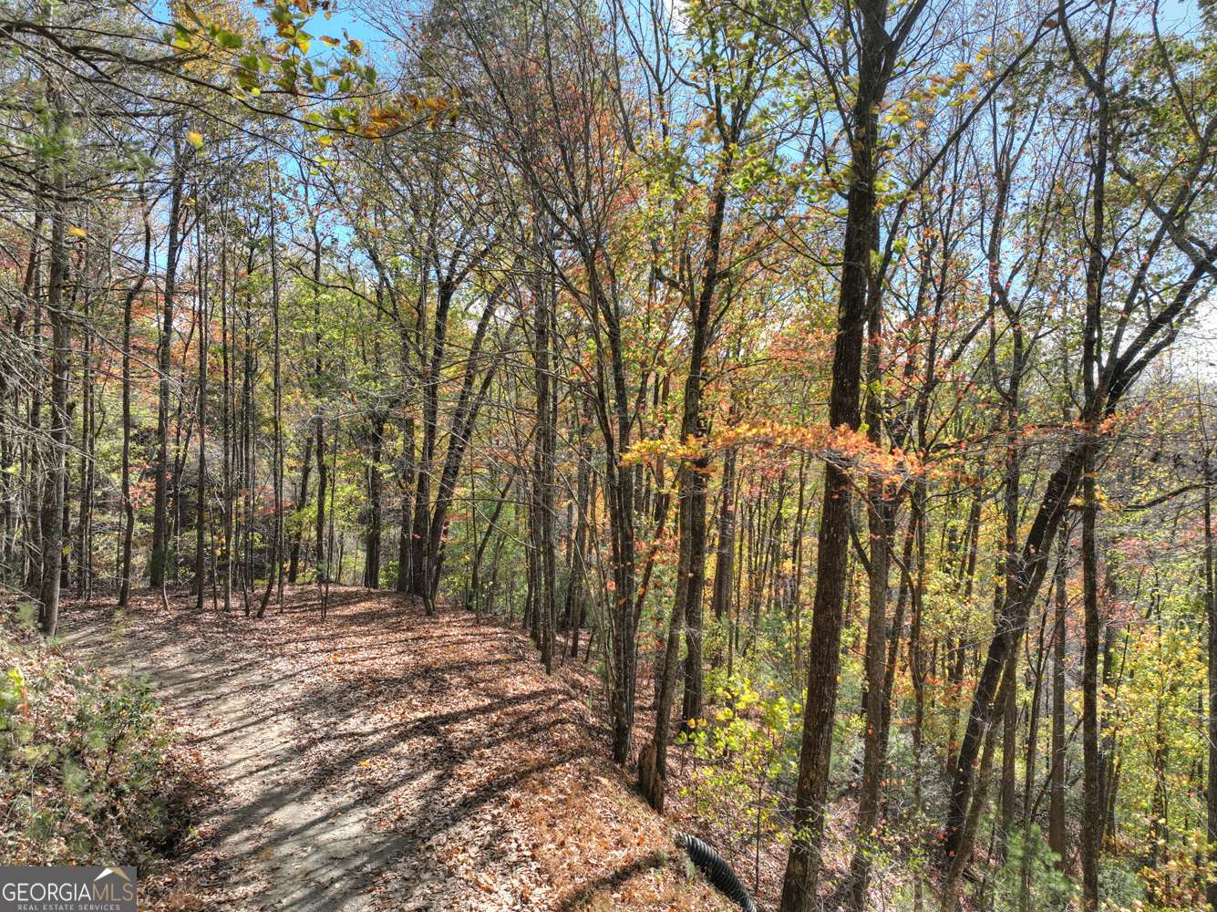 Cherry Log, GA 30522,LOT 4 Laurel Creek Road