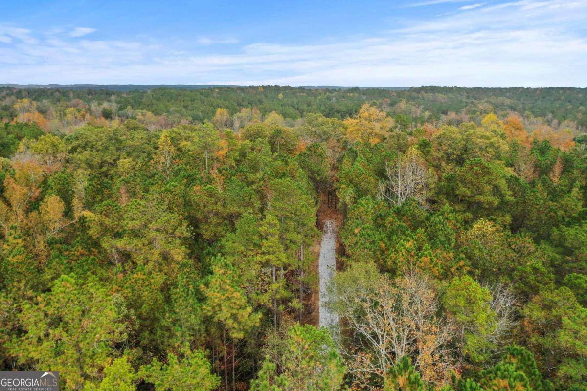 Elberton, GA 30635,LOT 4 Mill