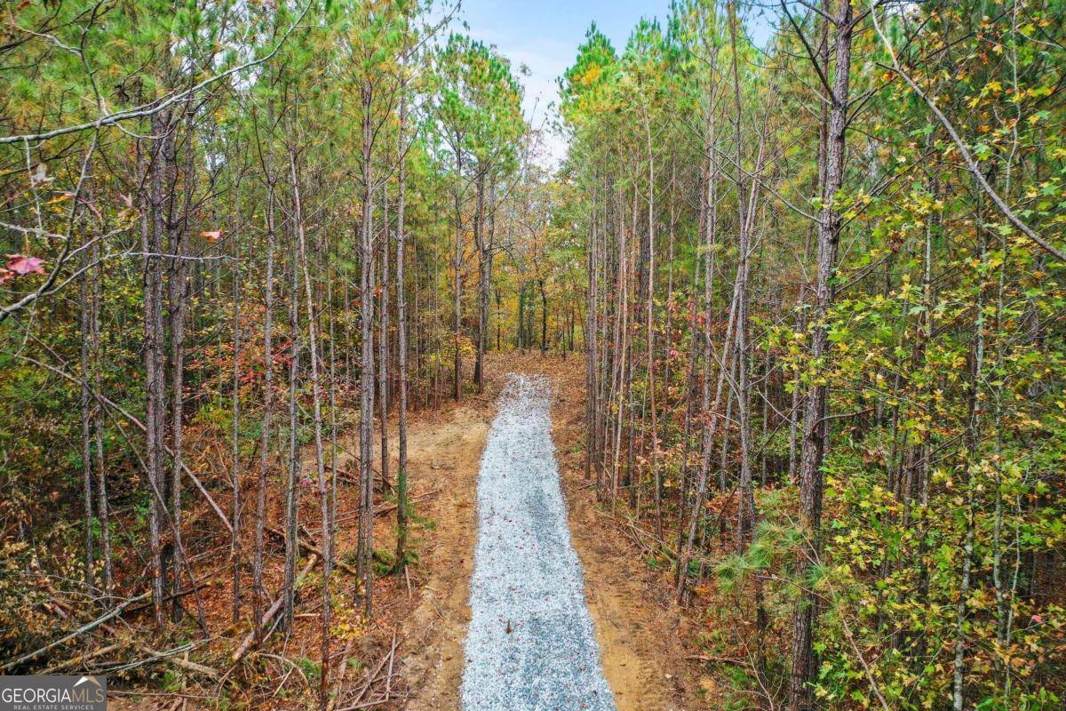 Elberton, GA 30635,LOT 4 Mill