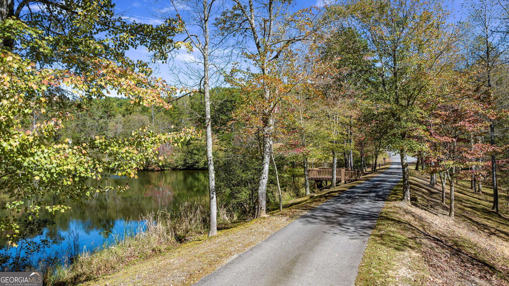 Morganton, GA 30560,LOT 12 Meadow Brook Trail